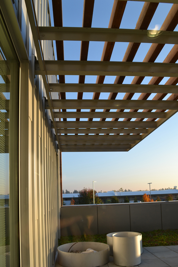 A closer look at the sunshade provided at the second floor green roof. The garden is not quite complete at this point.