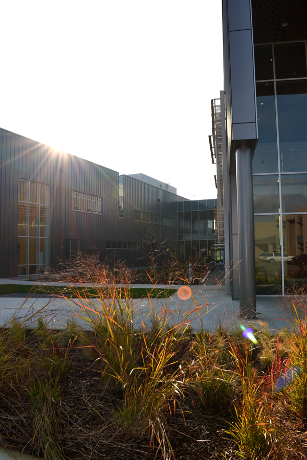 Sunset View of the Courtyard With a Glimpse of the Ipe Trimmed Sunshades.